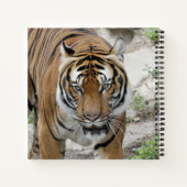 Tiger_001 Notizblock (Rückseite)
