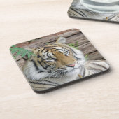 Tiger_002 Getränkeuntersetzer (Linke Seite)