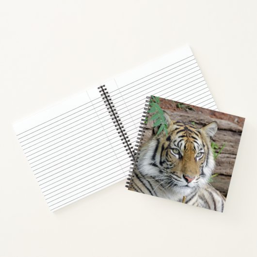Tiger_002 Notizblock (Innenseite)