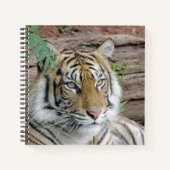Tiger_002 Notizblock (Vorderseite)