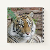 Tiger_002 Notizblock (Rückseite)