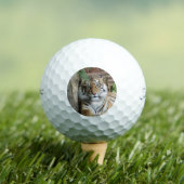 Tiger 005 golfball (Insitu T-Shirt)