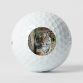 Tiger 005 golfball (Vorderseite)