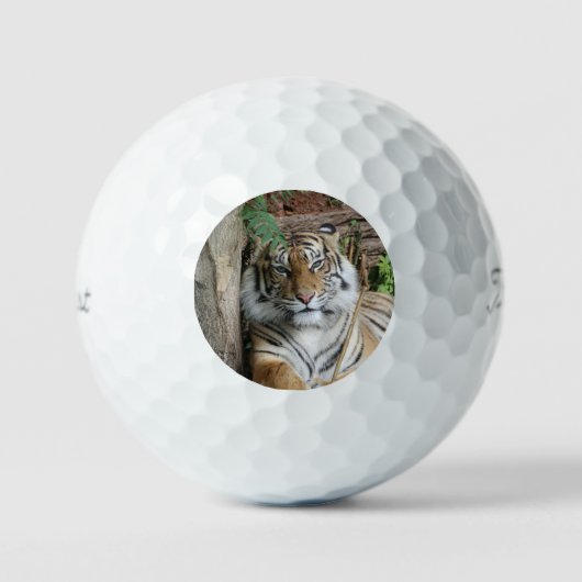 Tiger 005 golfball (Vorderseite)
