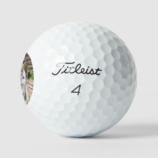 Tiger 005 golfball (Logo)
