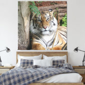 Tiger 005 leinwanddruck (Insitu (Schlafzimmer))
