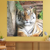 Tiger 005 leinwanddruck (Insitu (Wohnzimmer))