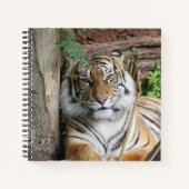 Tiger 005 notizblock (Vorderseite)