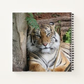 Tiger 005 notizblock (Rückseite)