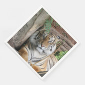 Tiger 005 serviette (Ecke)