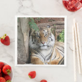 Tiger 005 serviette (Beispiel)