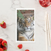 Tiger 005 serviette (Beispiel)