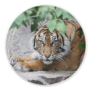 Tiger 008 keramikknauf