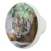 Tiger 008 keramikknauf (Rechts)