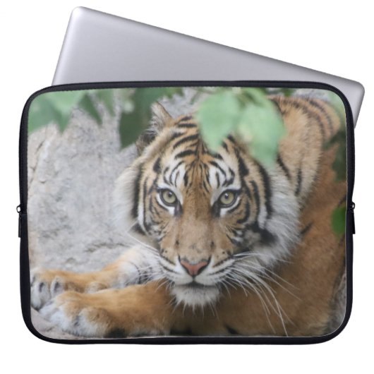 Tiger 008 laptopschutzhülle (Vorderseite)