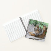 Tiger 008 notizblock (Innenseite)