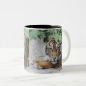Tiger 008 zweifarbige tasse (VorderseiteRechts)