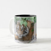 Tiger 008 zweifarbige tasse (Vorderseite Links)
