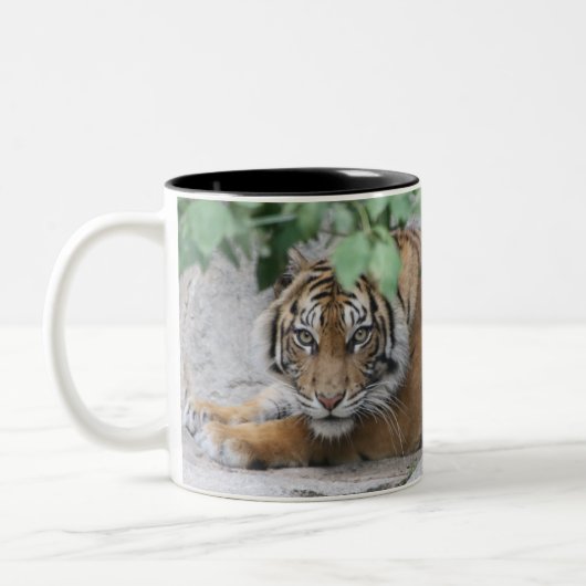 Tiger 008 zweifarbige tasse (Links)