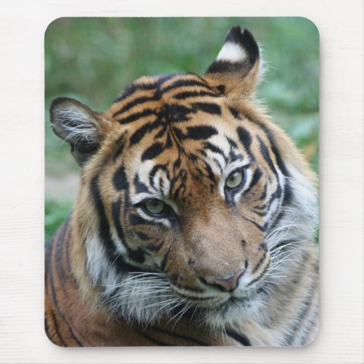 Tiger 012 mousepad (Vorne)