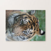 Tiger 012 puzzle (Horizontal)