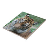 Tiger 013 fliese (Seite)