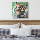 Tiger 013 leinwanddruck (Insitu (Schlafzimmer))