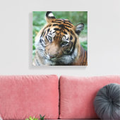 Tiger 013 leinwanddruck (Insitu (Wohnzimmer))