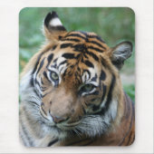 Tiger 013 mousepad (Vorne)
