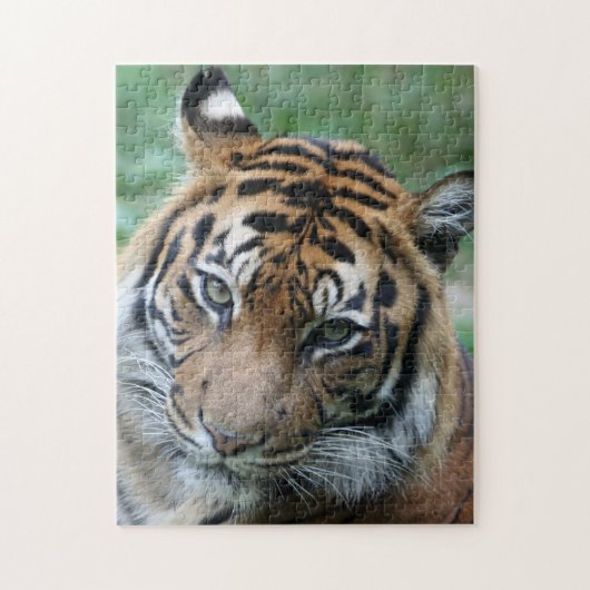 Tiger 013 puzzle (Vertikal)