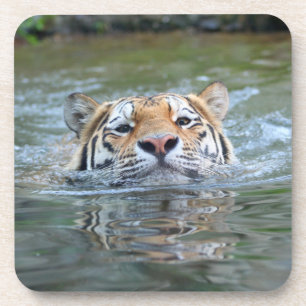 Tiger 028 getränkeuntersetzer
