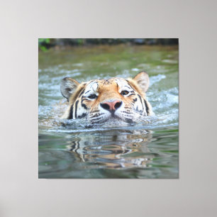 Tiger 028 leinwanddruck