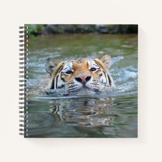 Tiger 028 notizblock (Vorderseite)