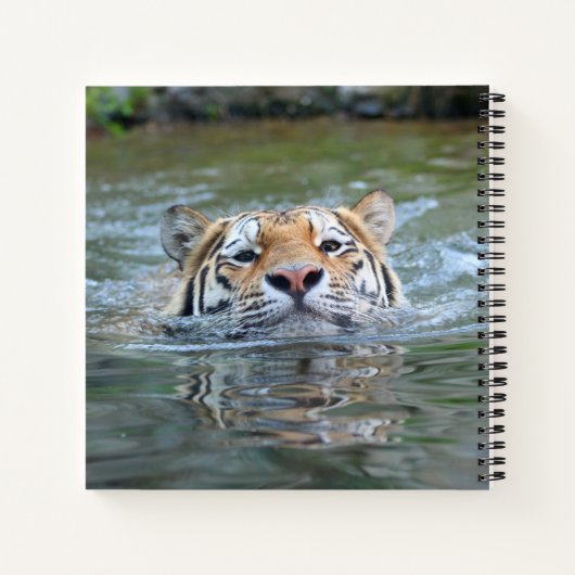 Tiger 028 notizblock (Rückseite)