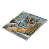 Tiger 034 fliese (Seite)