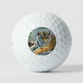 Tiger 034 golfball (Vorderseite)