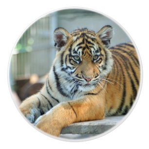 Tiger 034 keramikknauf