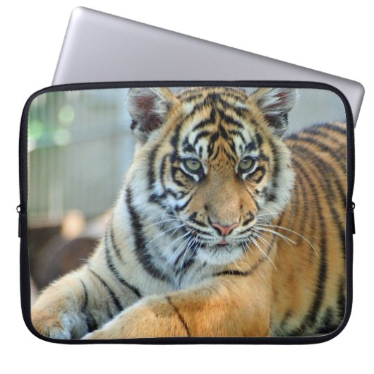 Tiger 034 laptopschutzhülle (Vorderseite)