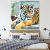Tiger 034 leinwanddruck (Insitu (Schlafzimmer))