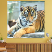 Tiger 034 leinwanddruck (Insitu (Wohnzimmer))
