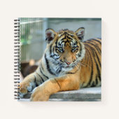 Tiger 034 notizblock (Vorderseite)