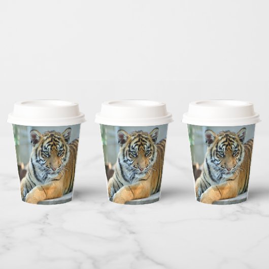 Tiger 034 pappbecher (Multi)