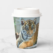 Tiger 034 pappbecher (Rückseite)