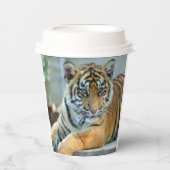 Tiger 034 pappbecher (Vorderseite)