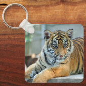 Tiger 034 schlüsselanhänger (Vorderseite)