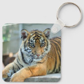 Tiger 034 schlüsselanhänger (Rückseite)