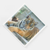 Tiger 034 serviette (Ecke)
