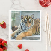 Tiger 034 serviette (Beispiel)
