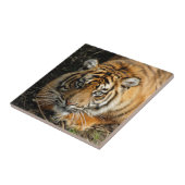 Tiger 037 fliese (Seite)