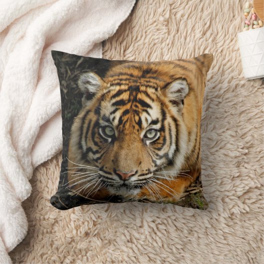 Tiger 037 kissen (Decke)